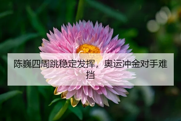 chen-wei-si-zhou-tiao-wen-ding-fa-hui-ao-yun-chong-jin-dui-shou-nan-dang-3-712.jpg