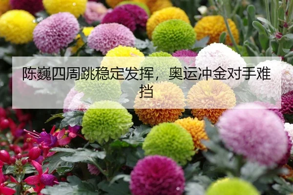 陈巍四周跳稳定发挥，奥运冲金对手难挡