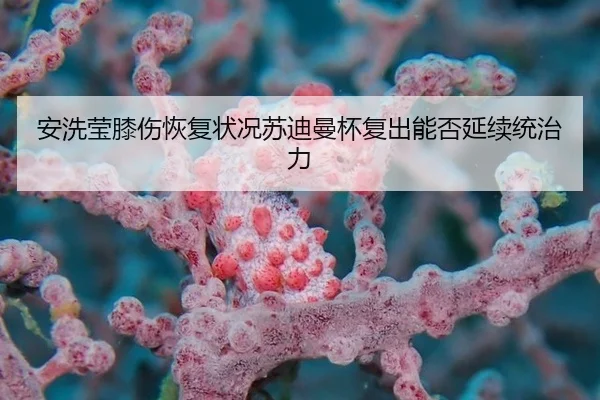an-xi-ying-xi-shang-hui-fu-zhuang-kuang-su-di-man-bei-fu-chu-neng-fou-yan-xu-tong-zhi-li-3-901.jpg