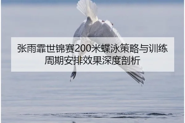 张雨霏世锦赛200米蝶泳策略与训练周期安排效果深度剖析