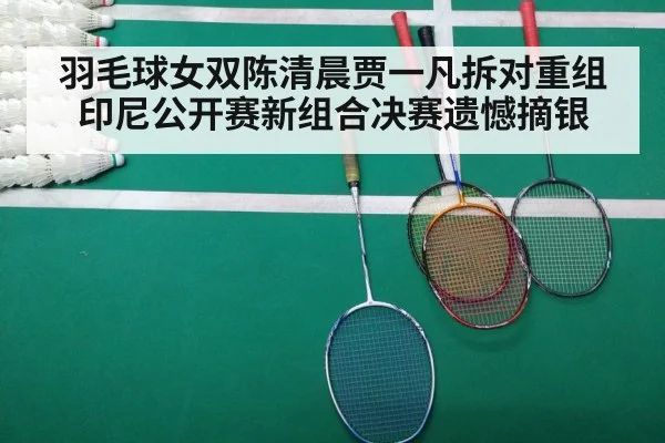 badminton final match